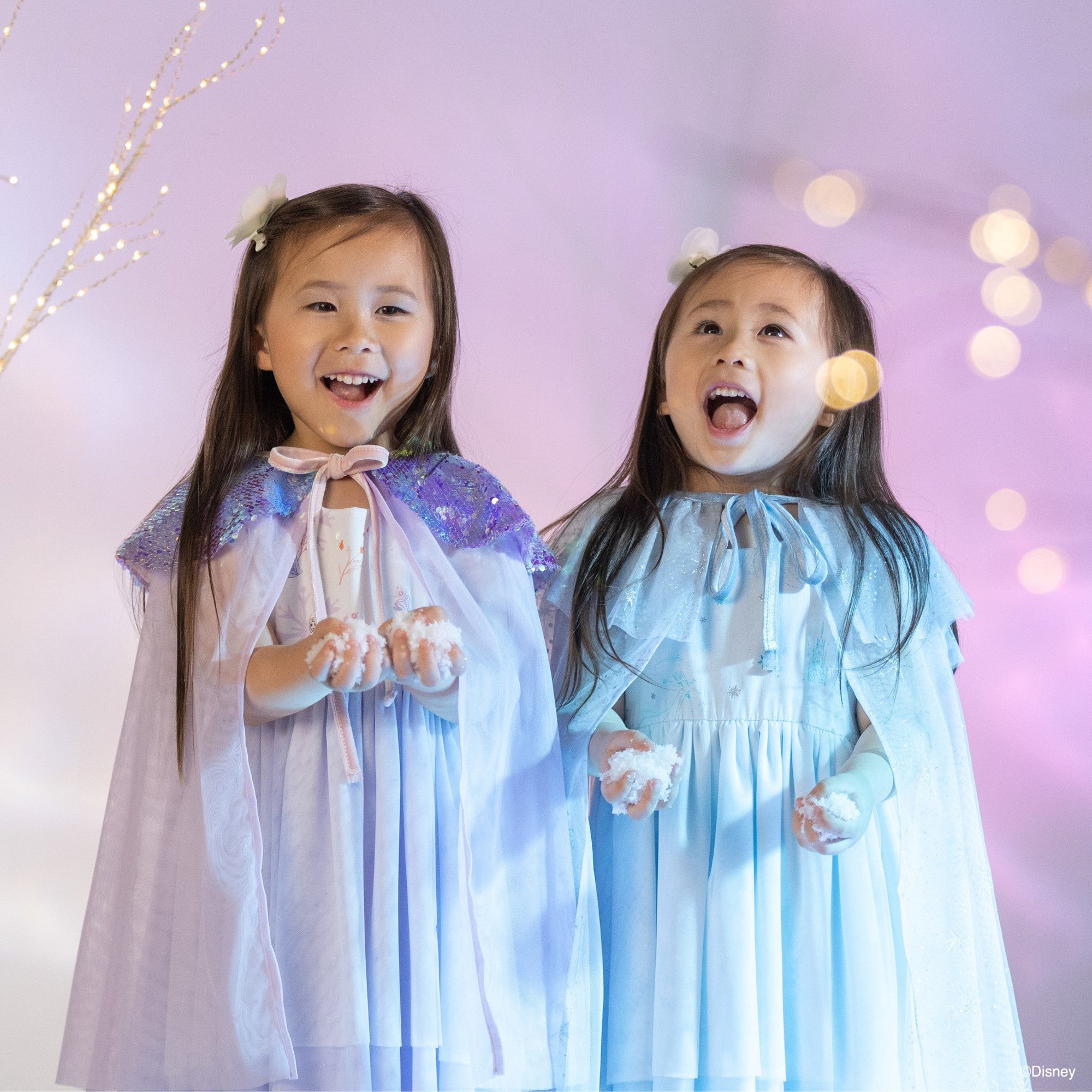 Magical Gift Guide for Kids who love Princesses