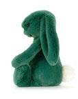 Bashful Teal Bunny