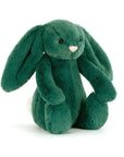 Bashful Teal Bunny