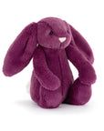 Bashful Allium Bunny