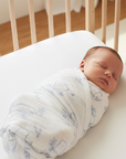 newborn baby swaddled with blue beary best swaddle