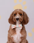 Pet Bow-Tie - Colourful Puppies | The Elly Store