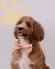 Pet Bow-Tie - Pink Terrier Plaids | The Elly Store