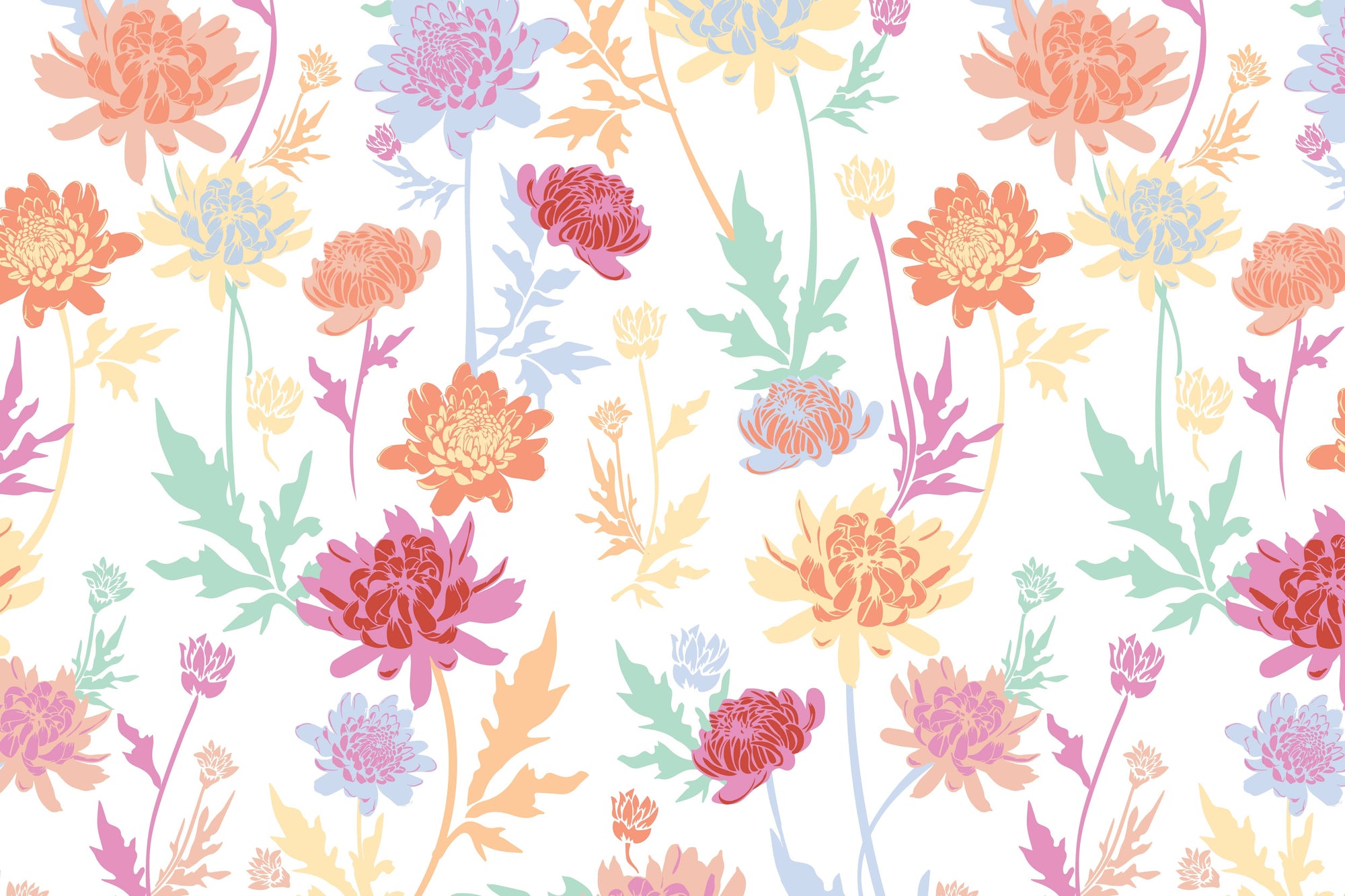 Colourful chrysanthemums print - floral pattern
