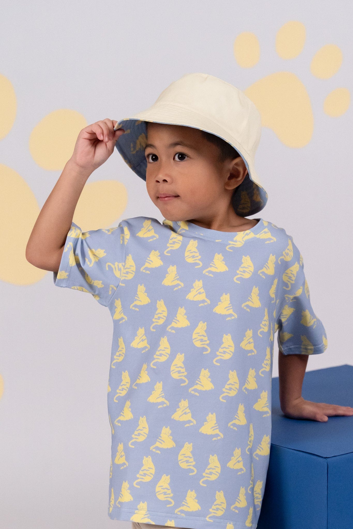 Reversible Bucket Hat - Cool Cats