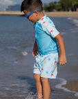 Swim Shorts Turtles