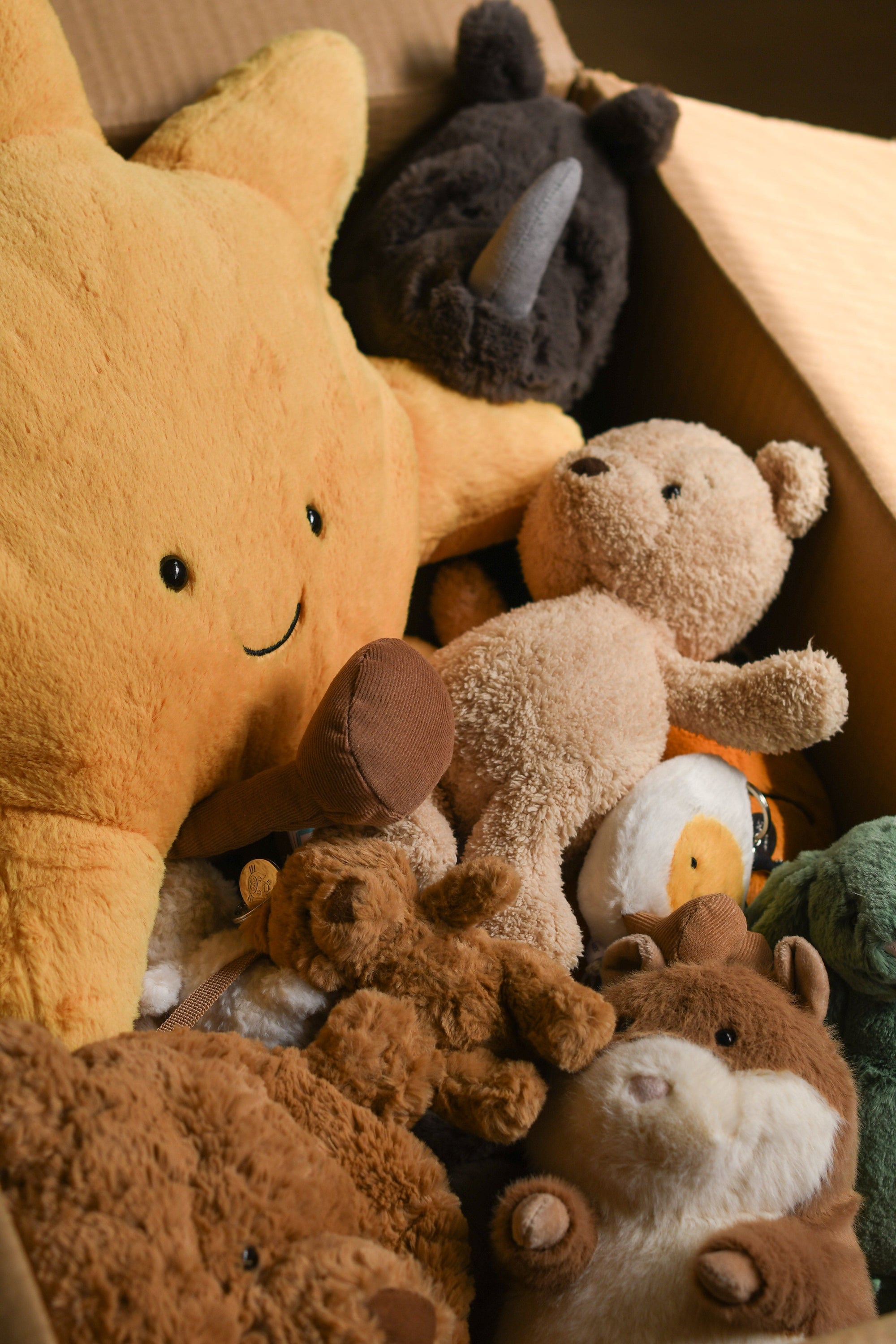 Stuffed animals in a box, DSC_0622