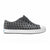 Native Jefferson Sugarlite Gravity Grey / Shell White