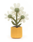 Jellycat Amuseable Daisy | The Elly Store