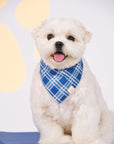 Pet Bandana - Navy Terrier Plaids / Paw Stripes | The Elly Store
