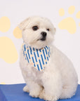 Pet Bandana - Navy Terrier Plaids / Paw Stripes | The Elly Store