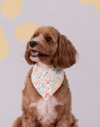 Pet Bandana - Colourful Puppies / Colourful Paws | The Elly Store