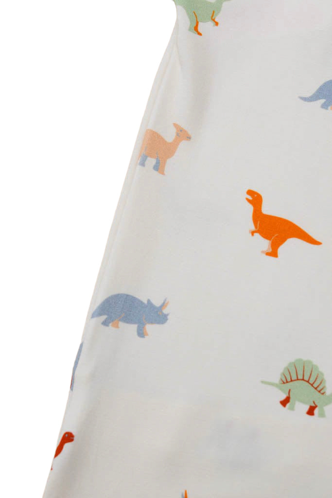 Pillow Case - Dino
