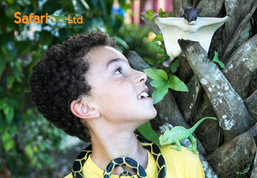 Boy looking at a toy flying squirrel and chameleon.
