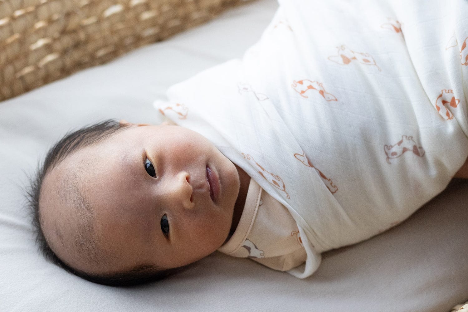 Newborn baby swaddled in blanket - R6I_1341_copy