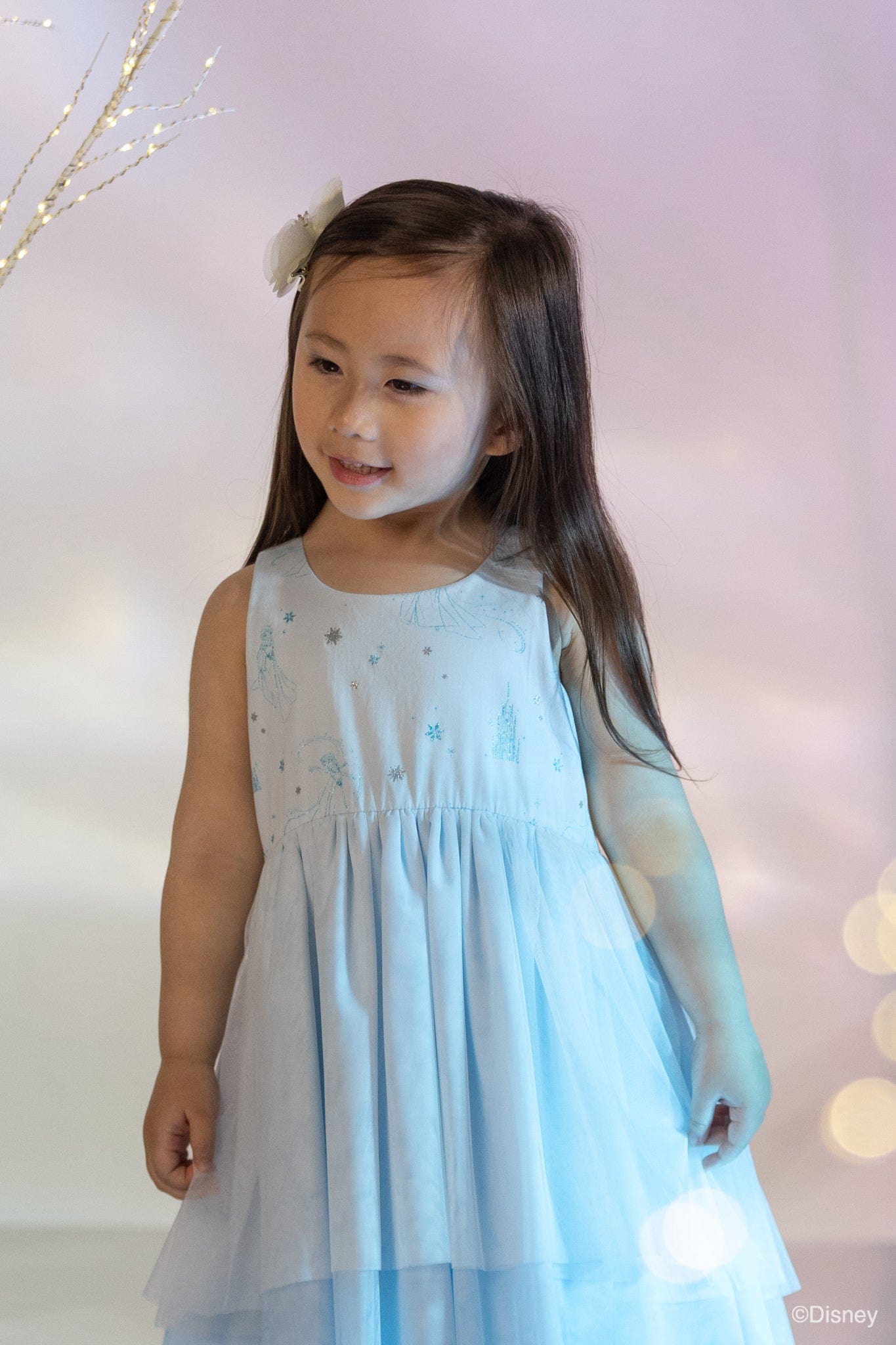 Skye Dress - Elsa's Ice Magic | The Elly Store