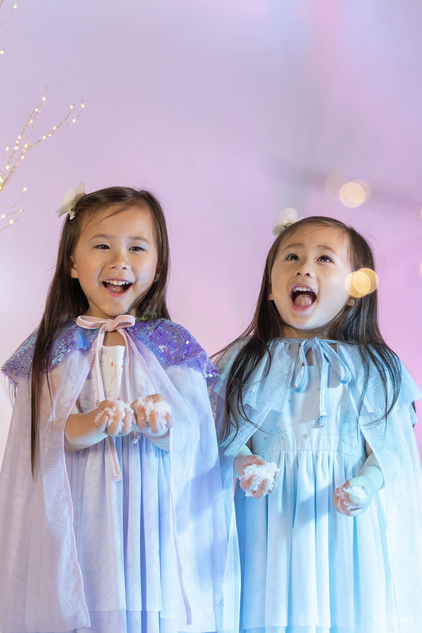 Tulle Cape - Ice Queen | The Elly Store