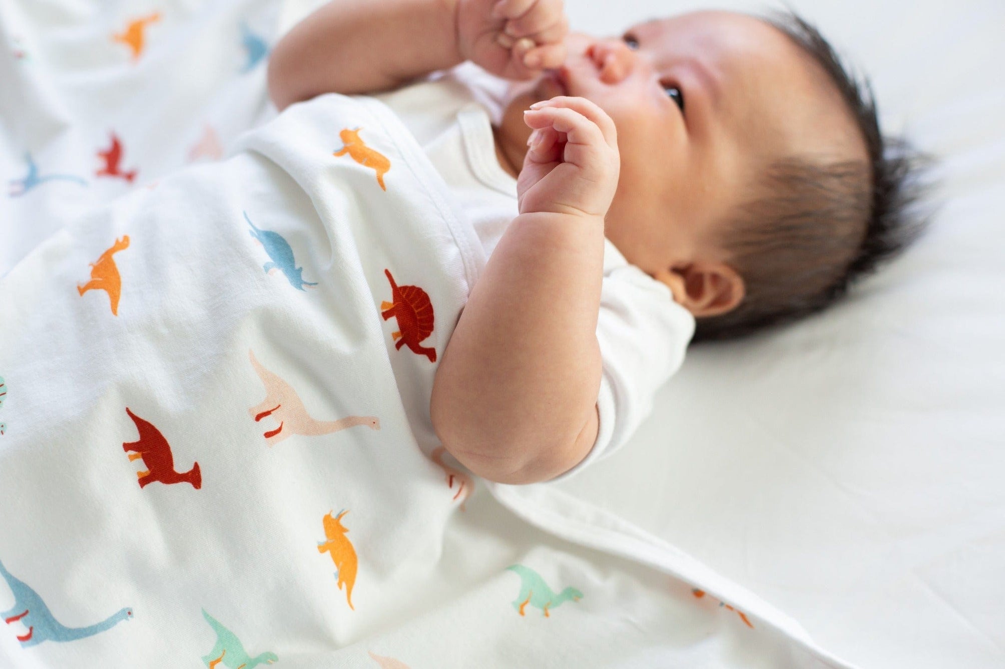 Baby wrapped in dinosaur blanket
