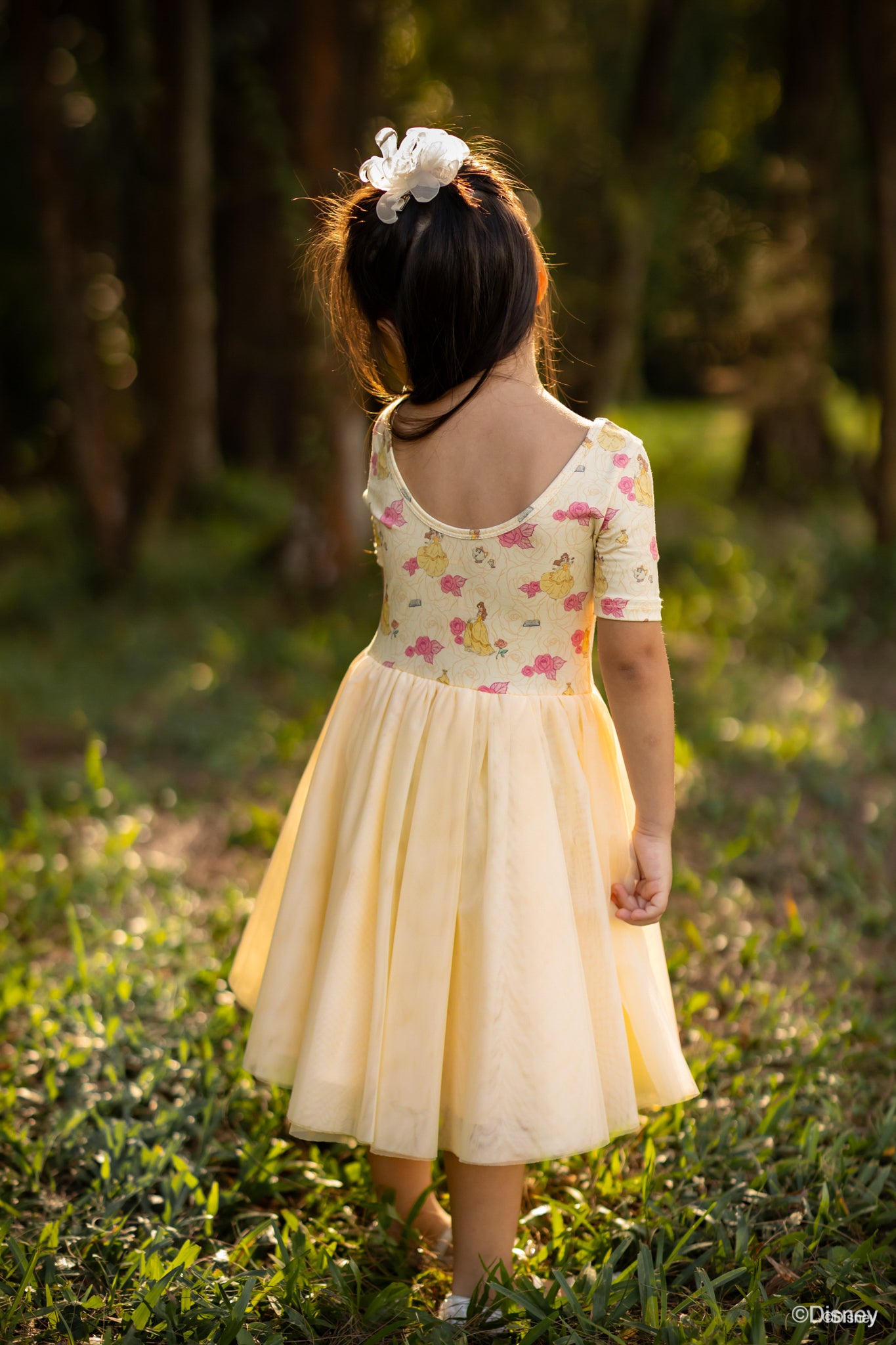 Lyla Dress Belle Disney elly – The Elly Store