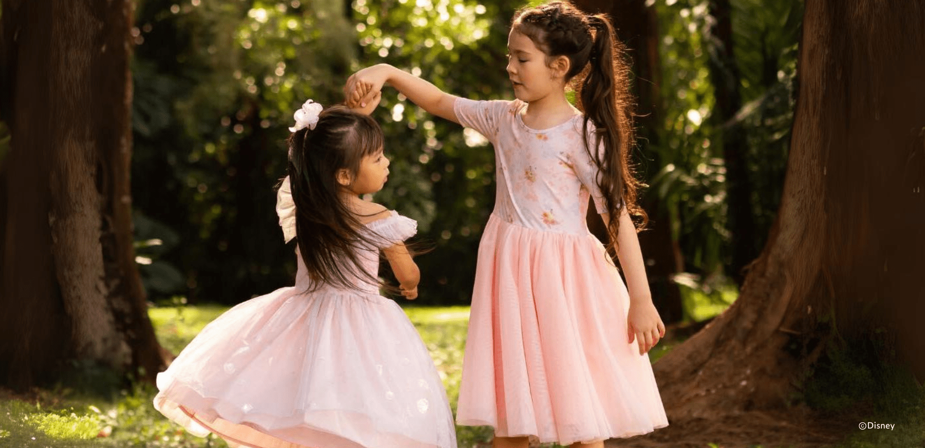 Disney Princess desktop image of two girls in pink dresses.