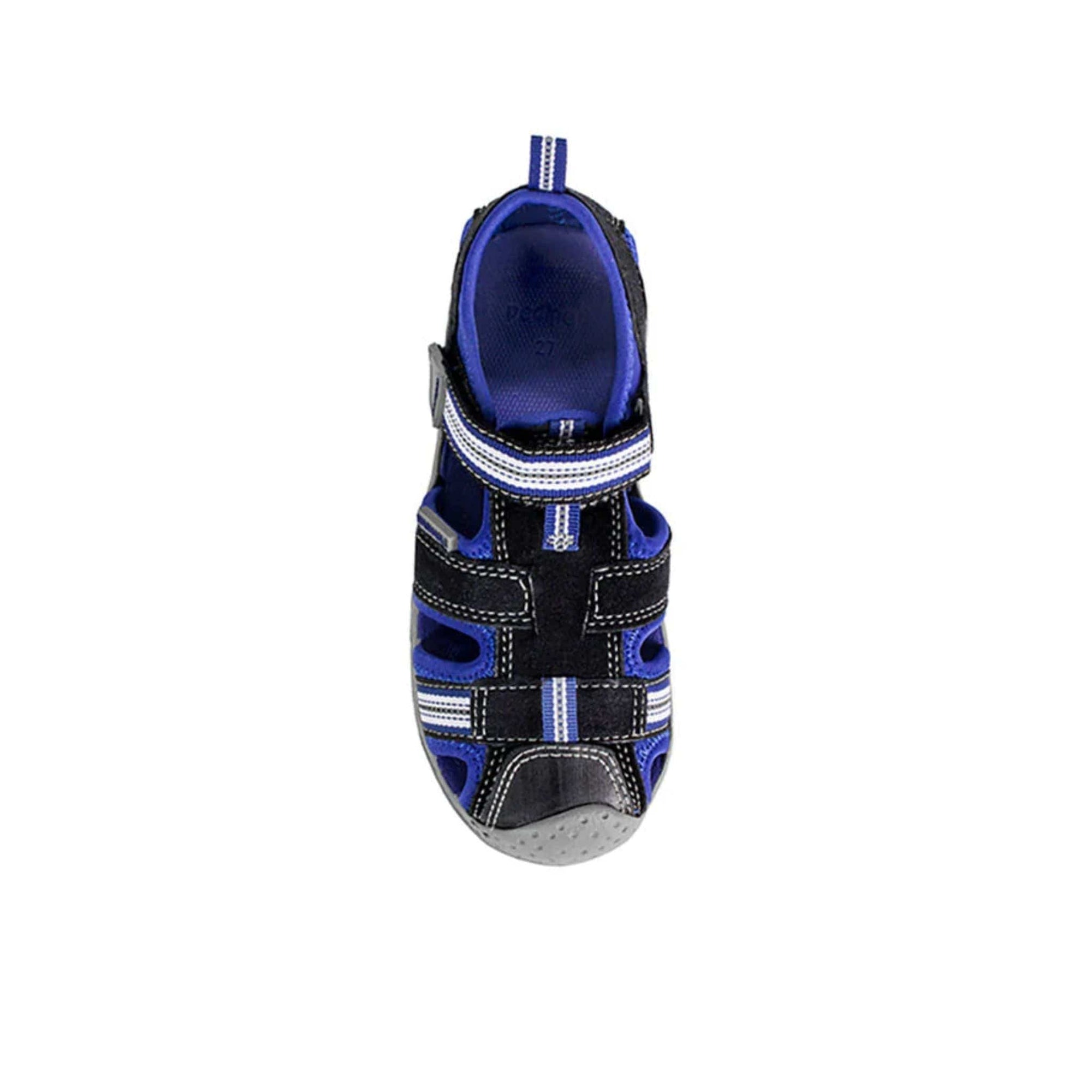 Pediped Flex Sahara Black / King Blue Adventure Sandals