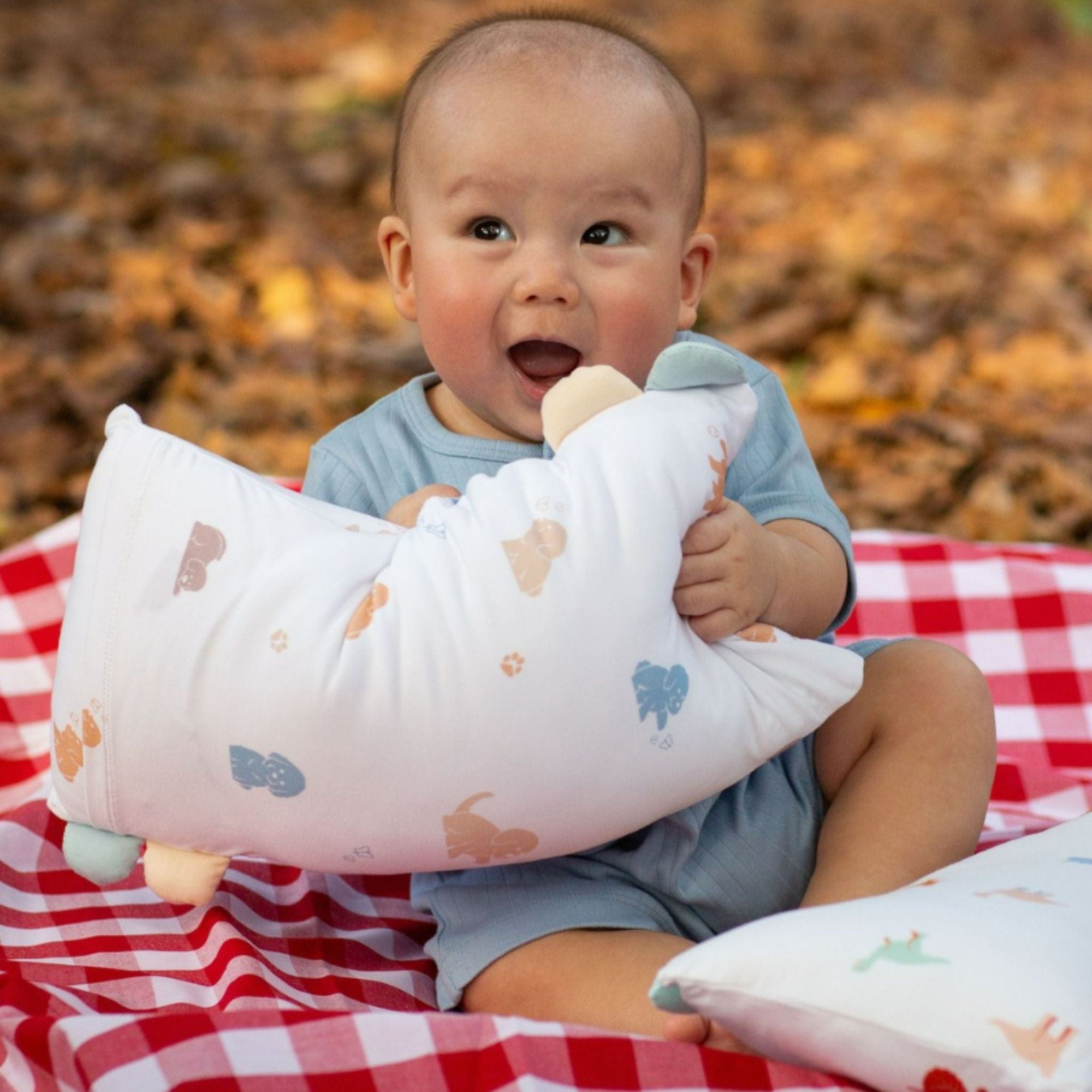 Baby with pillow from gallery 4