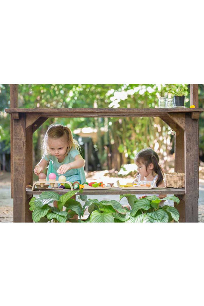 Plan Toys - Assorted Fruits & Vegetable (Playing)