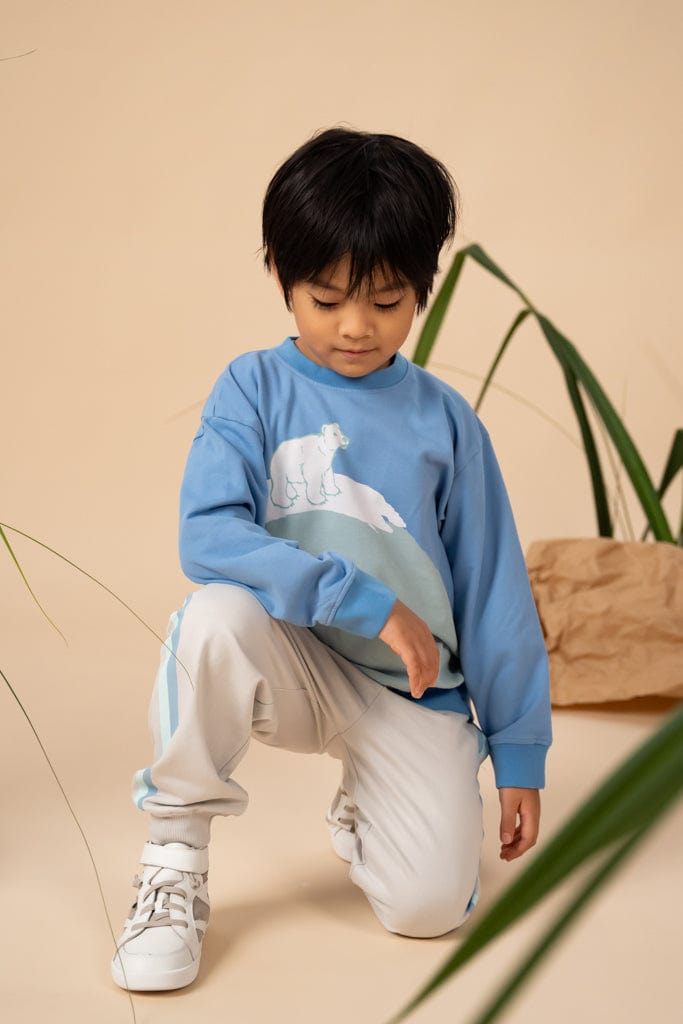 Boy in Arctic pullover set with polar bear design.