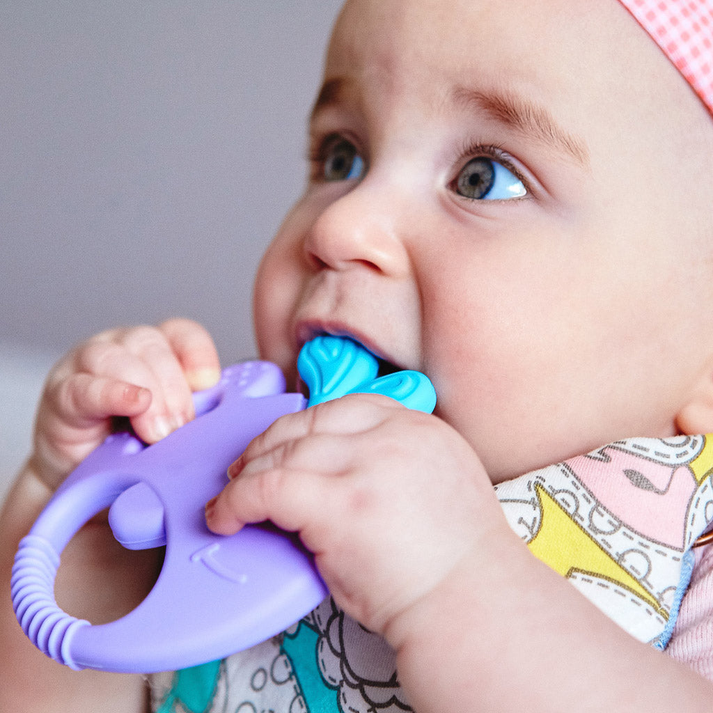 Marcus & Marcus Sensory Teether - Willo | The Elly Store