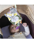 Urban Garden Activity Cube