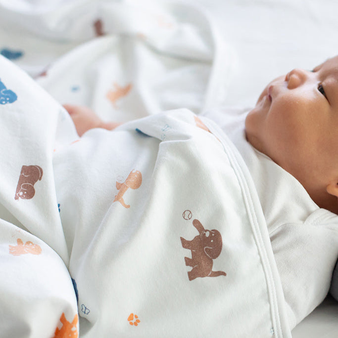 Jersey Blanket - Maltese Puppy | Ideal for Newborn Baby Gifts | The Elly Store Singapore