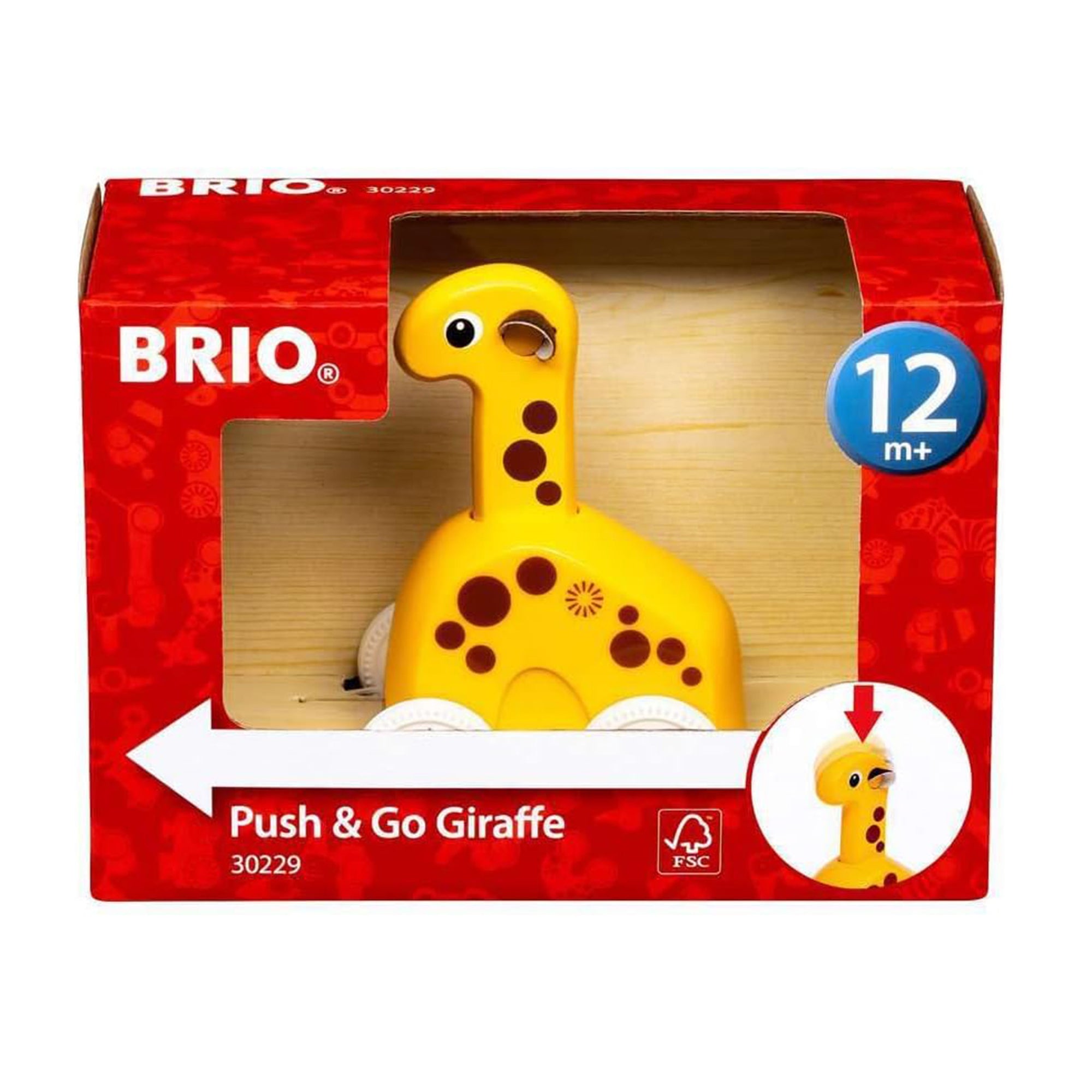Push & Go Giraffe