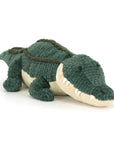 Allexi Alligator