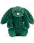 Bashful Teal Bunny