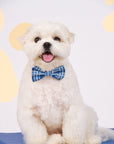 Pet Bow-Tie - Navy Terrier Plaids | The Elly Store