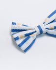 Pet Bow-Tie - Paw Stripes | The Elly Store