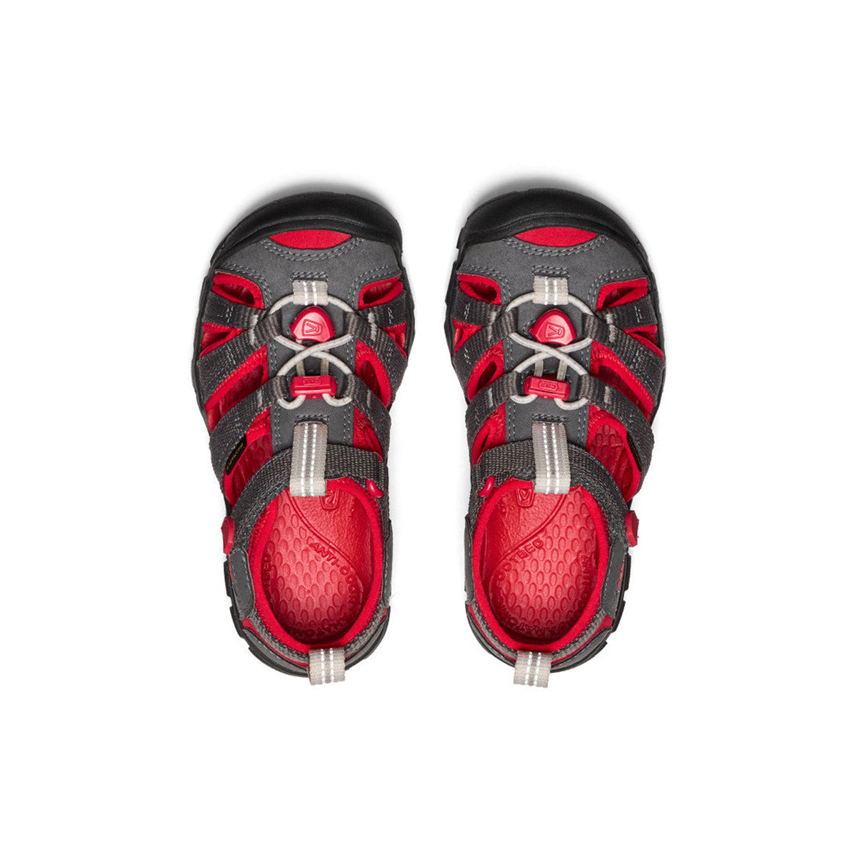 Children Seacamp II CNX Magnet Red Carpet