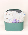 Pastel Baby Girl Keepsake Gift Set