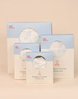 Pillow Set - Blue Beary Best