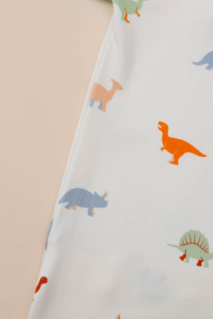 Pillow Case - Dino