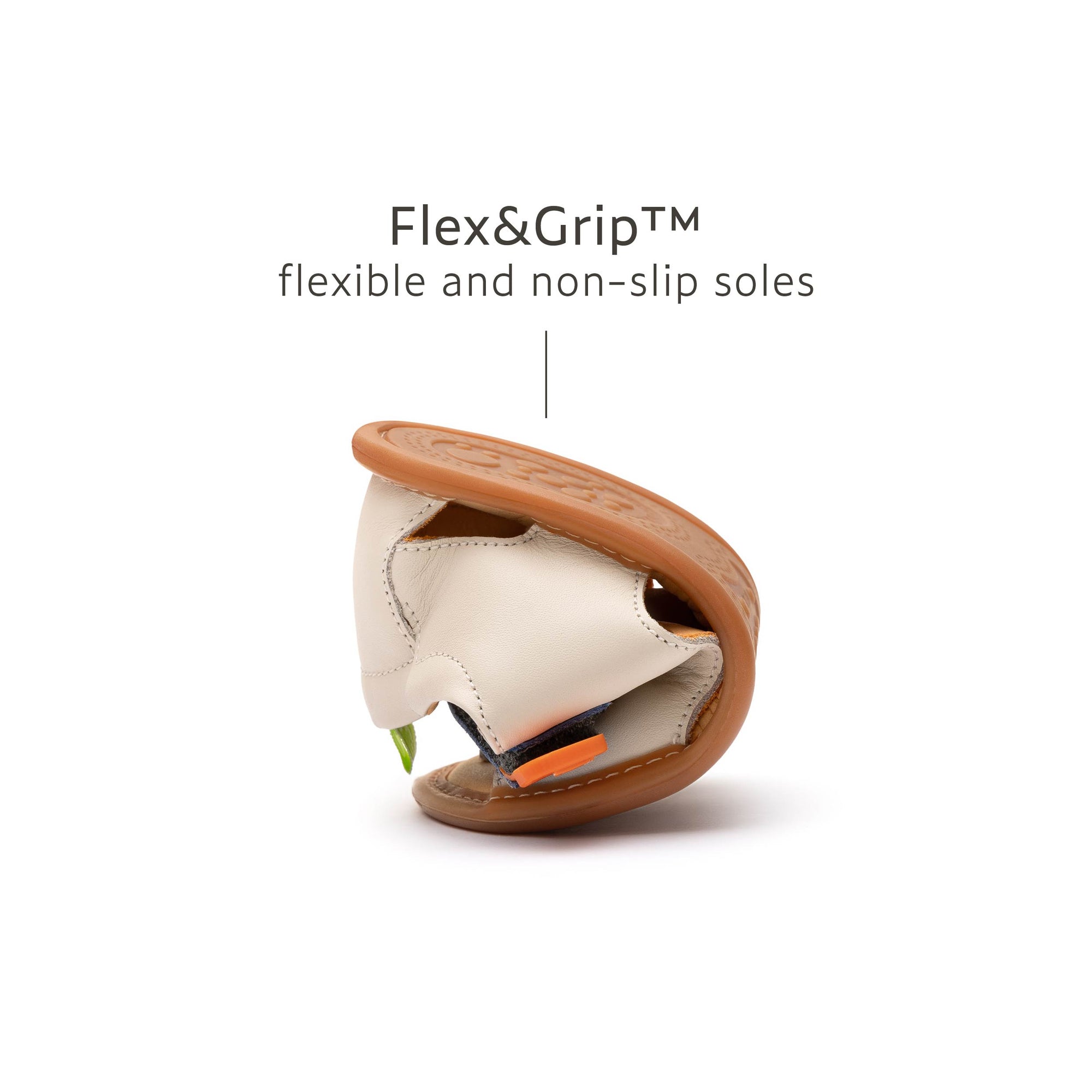 Explore Sneakers Tapioca Caja Blue Tang