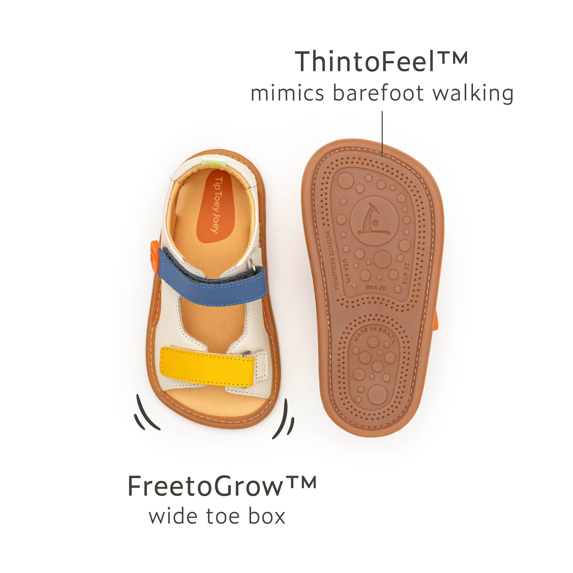 Explore Sneakers Tapioca Caja Blue Tang