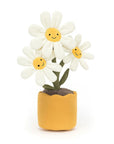 Jellycat Amuseable Daisy | The Elly Store 