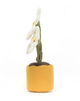 Jellycat Amuseable Daisy | The Elly Store 