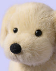 Jellycat Golden Puppy Close Up Face