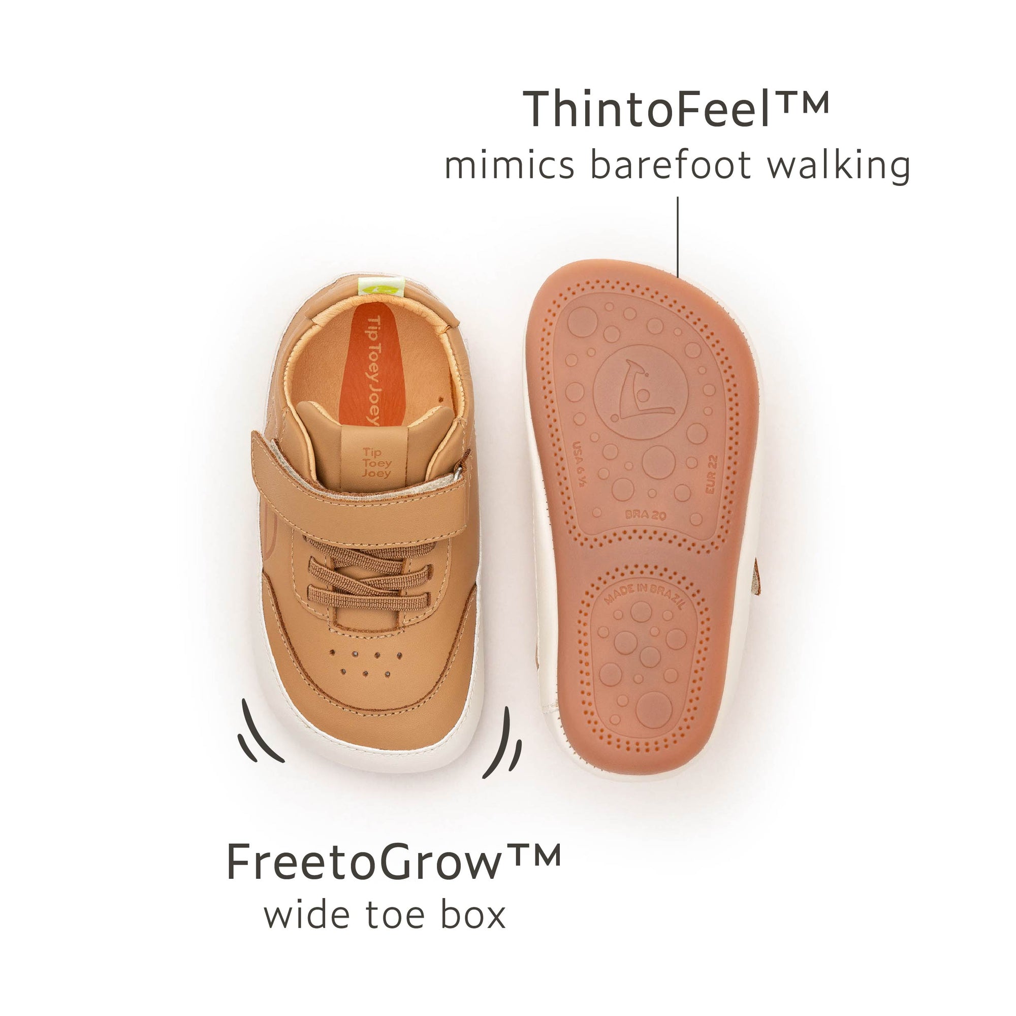 Outline Sneakers Hay