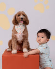 Pet Bandana - Colourful Puppies / Colourful Paws | The Elly Store