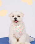 Pet Bandana - Colourful Puppies / Colourful Paws | The Elly Store