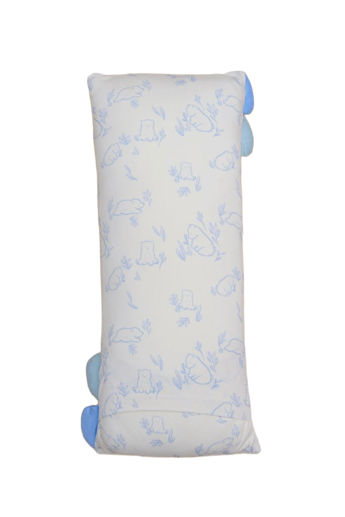Pillow Set - Beary Best