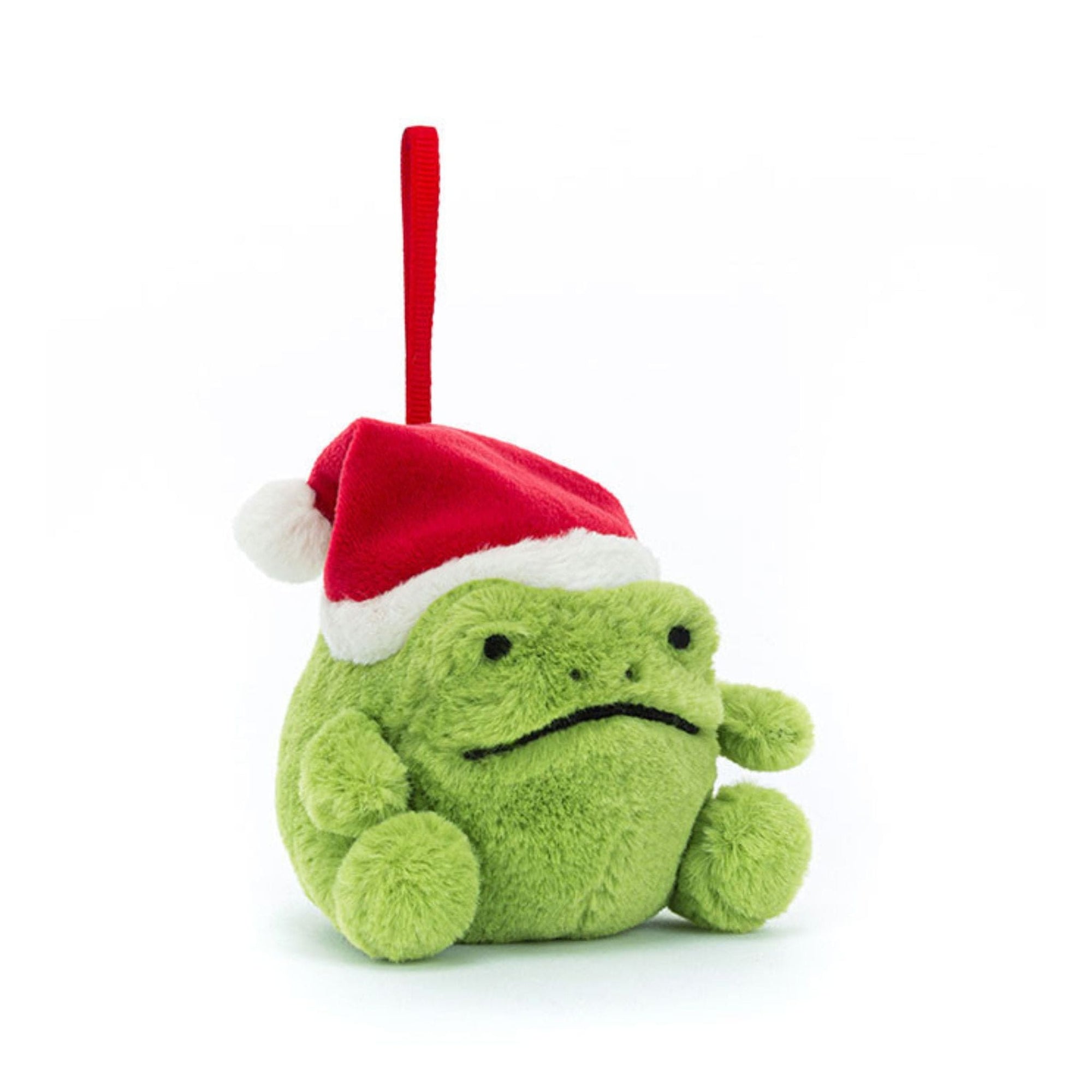 Jellycat Ricky Rain Frog Decoration | The Elly Store